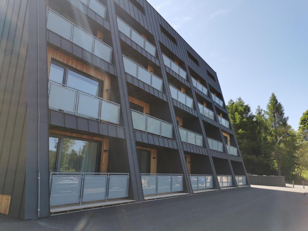 Apartman V Jizerkach Janov nad Nisou Exterior foto